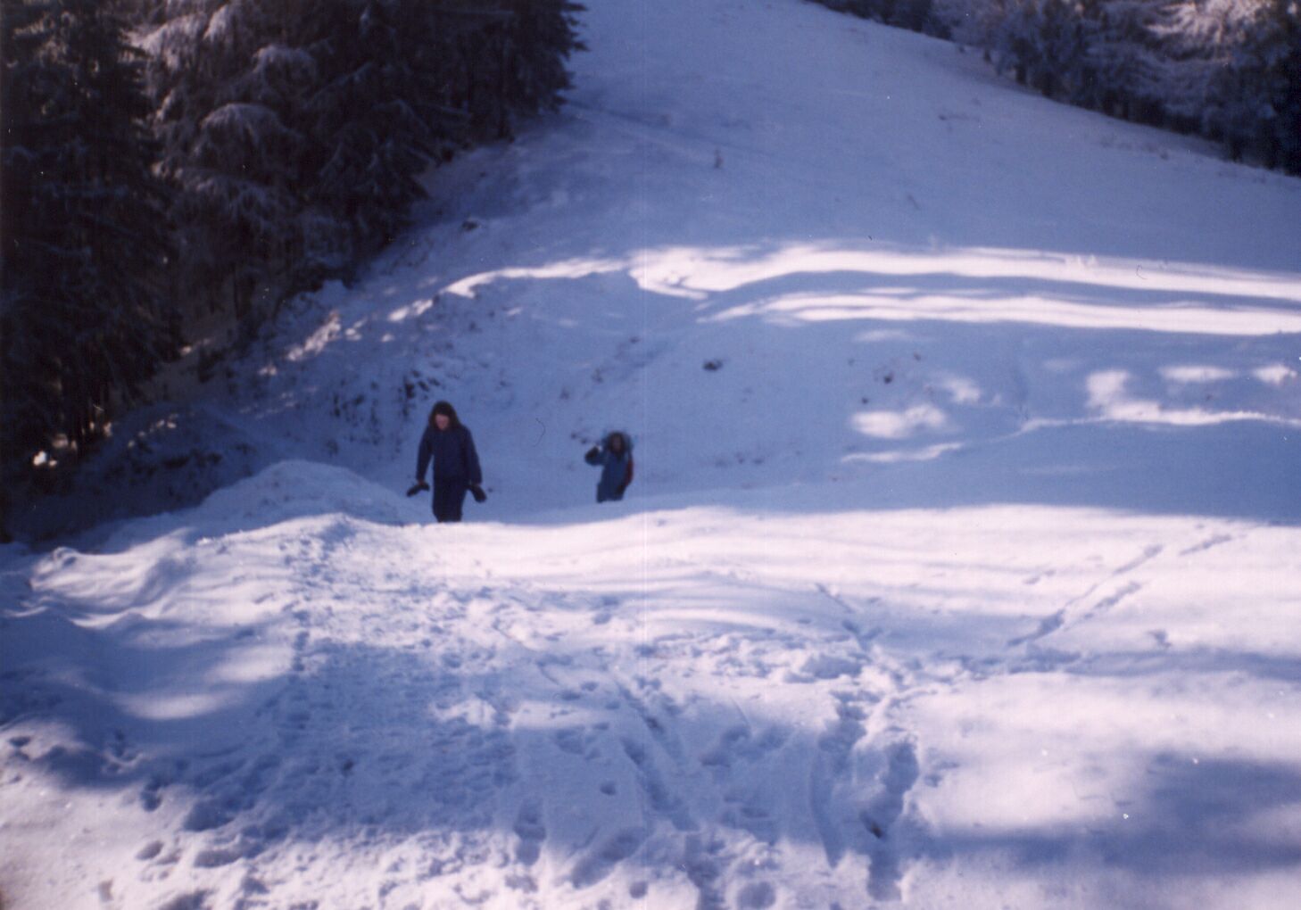 Image 19 of 25  -  144 kB